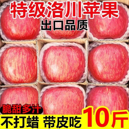 合阳县红富士苹果  陕西苹果10斤红富士脆甜多汁新鲜应季水果批