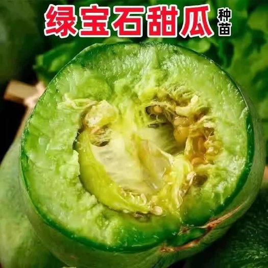 沭阳县绿宝石甜瓜秧苗带土发货根系发达易成活易养型