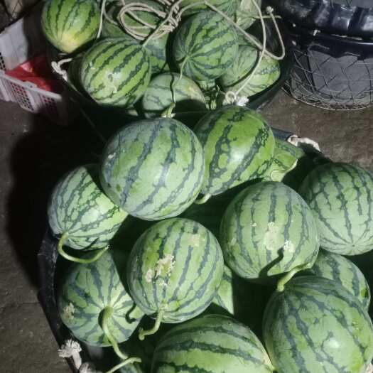 汝城县美都西瓜，果形圆，口感佳，皮薄，肉甜，瓢红入口即化