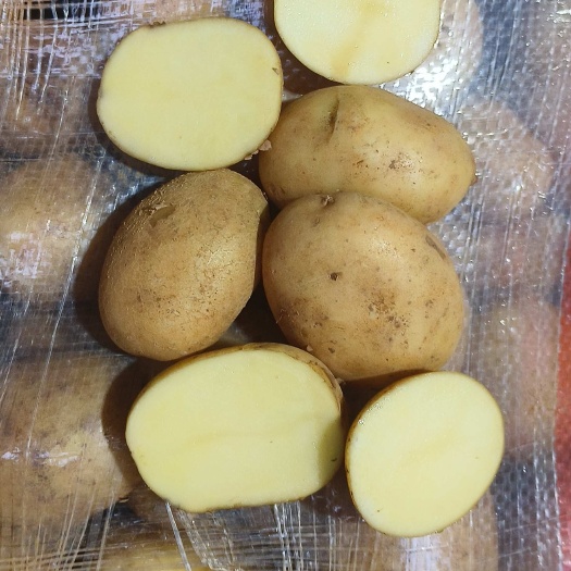 文山市云南高原土豆黄皮黄心   2两左右