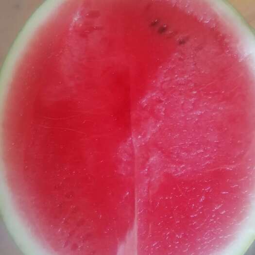 南宁精品麒麟瓜