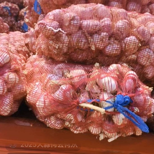 濮阳县河南濮阳新鲜白皮蒜 天然种植优质大蒜 原产地直发