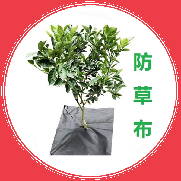 農(nóng)用生態(tài)防草布廠家