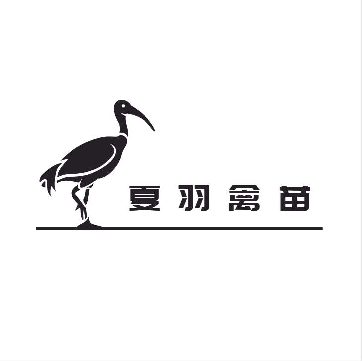 廣州夏羽禽苗