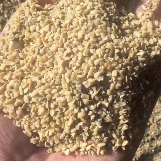 菏泽碎黄豆，，养殖碎黄豆，种地肥料豆