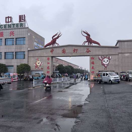 潜江市湖北潜江小龙虾产地直发质量有保证