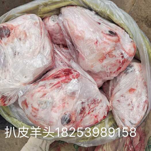 临沂扒皮羊头