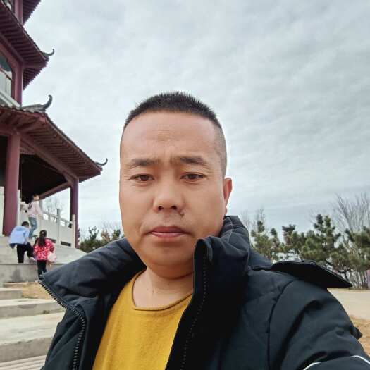 安丘市小韩大蒜代办