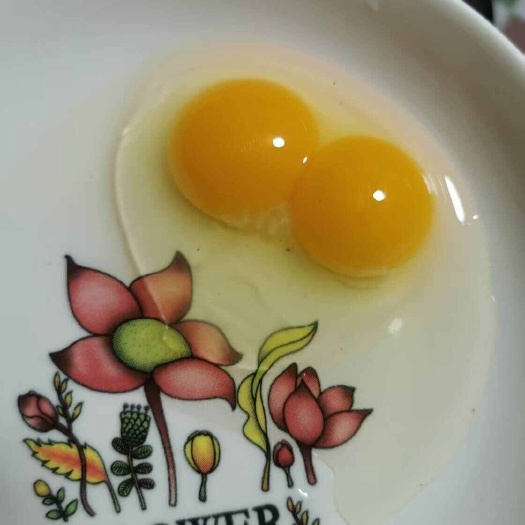哈尔滨散养五黑鸡绿壳蛋