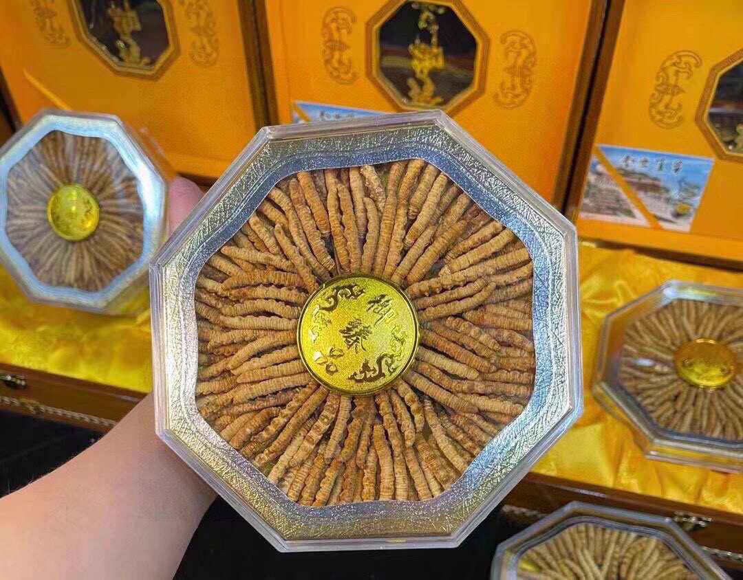 梁魚雜記