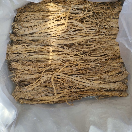 陇西县独活水洗货