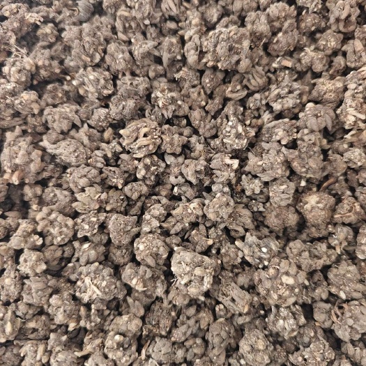 息县河南信阳猫爪草中药材产地直销 批发零售 水洗三遍 质量干饱净