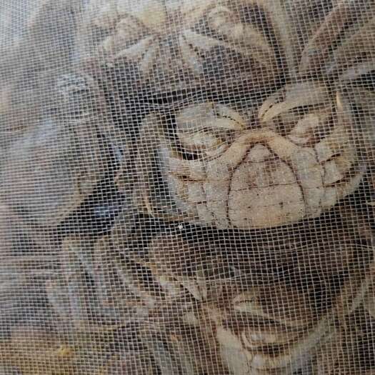 天津蟹苗保质保量