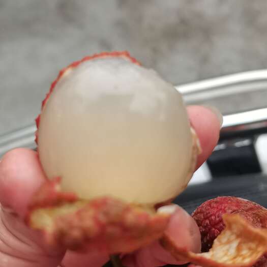 高州市大量荔枝出售