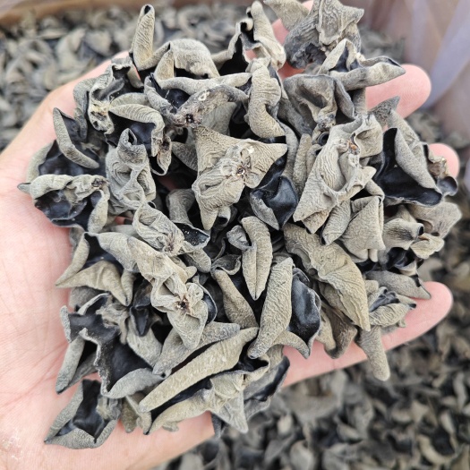  【可代发可分装】东北黑木耳干货电商摆摊小碗耳秋木耳肉厚无根