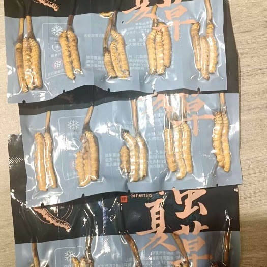 西宁冬虫夏草