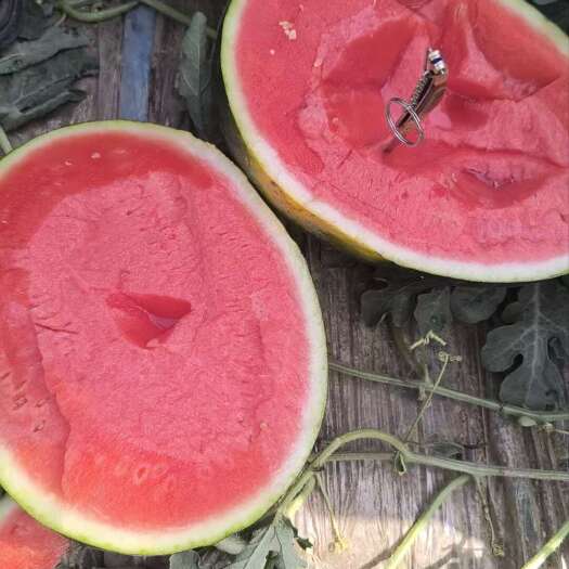 蒲城县水果