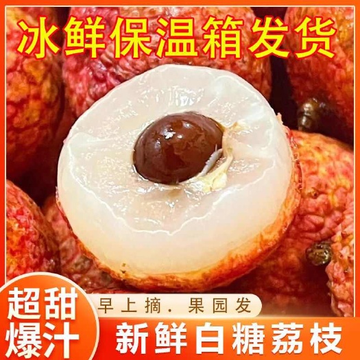 阳西县【十斤白糖罂批发】10斤荔枝白糖罂整箱十斤批发
