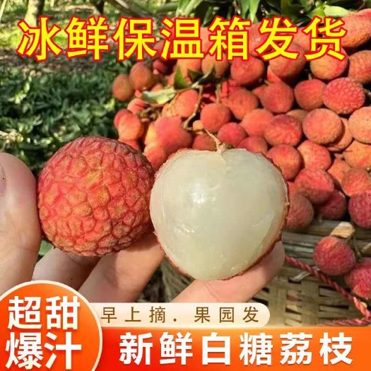 阳西县《十斤白糖罂批发》10斤带枝叶白糖罂整箱批发现摘现发