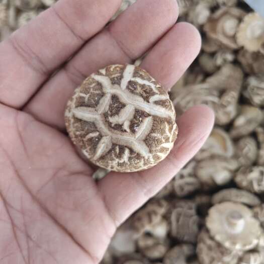 鲁山县精品花菇干货 肉质肥厚干净好看 干香菇新货大小均匀小香菇冬菇