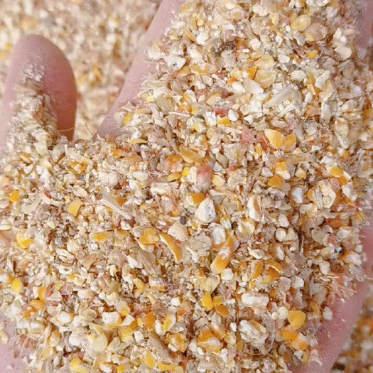 德江县养殖碎玉米毛粮适合鸡鸭鹅鱼虾蟹养殖使用节约养殖成本