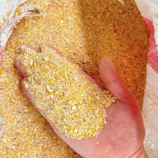 望江县筛漏碎玉米下脚料毛粮过风过筛料适合鸡鸭鹅牛羊猪鱼虾蟹养殖