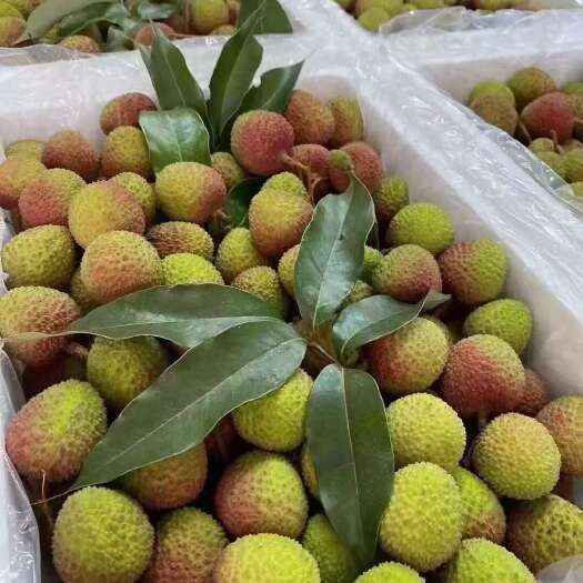 高州市妃子笑，皮薄肉厚，核小，有浓郁果香味