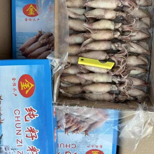 海兔天然籽满籽全籽海兔墨鱼仔海鲜水产笔管鱼全籽乌贼海兔子膏鱿