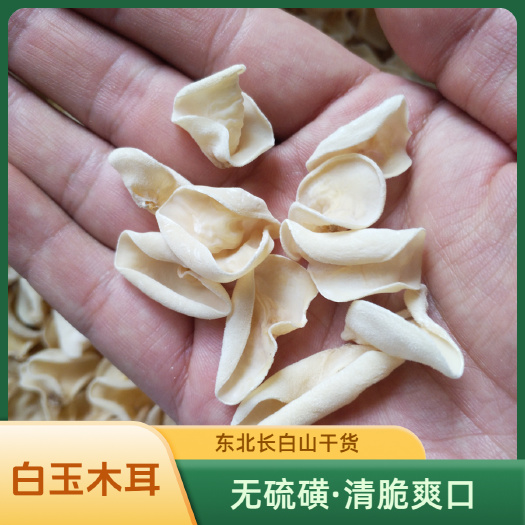 东北白木耳干木耳1.5cm长白山白玉木耳无硫秋木耳土特产新货