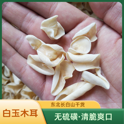 东宁市东北白木耳干木耳1.5cm长白山白玉木耳无硫秋木耳土特产新货