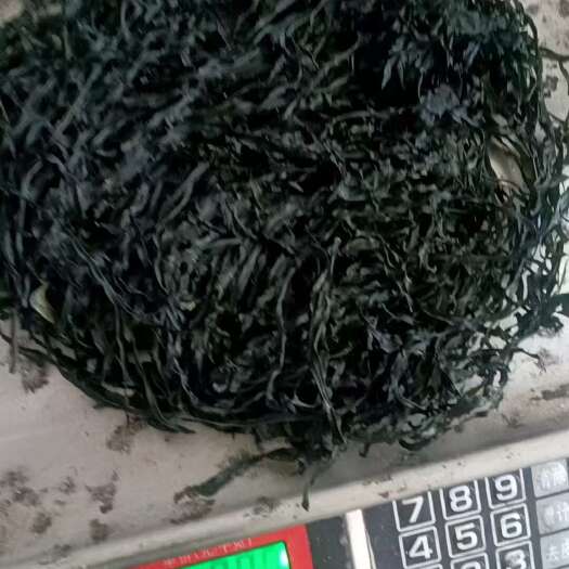 霞浦县厂家直销翠绿海带丝，一包也是出厂价