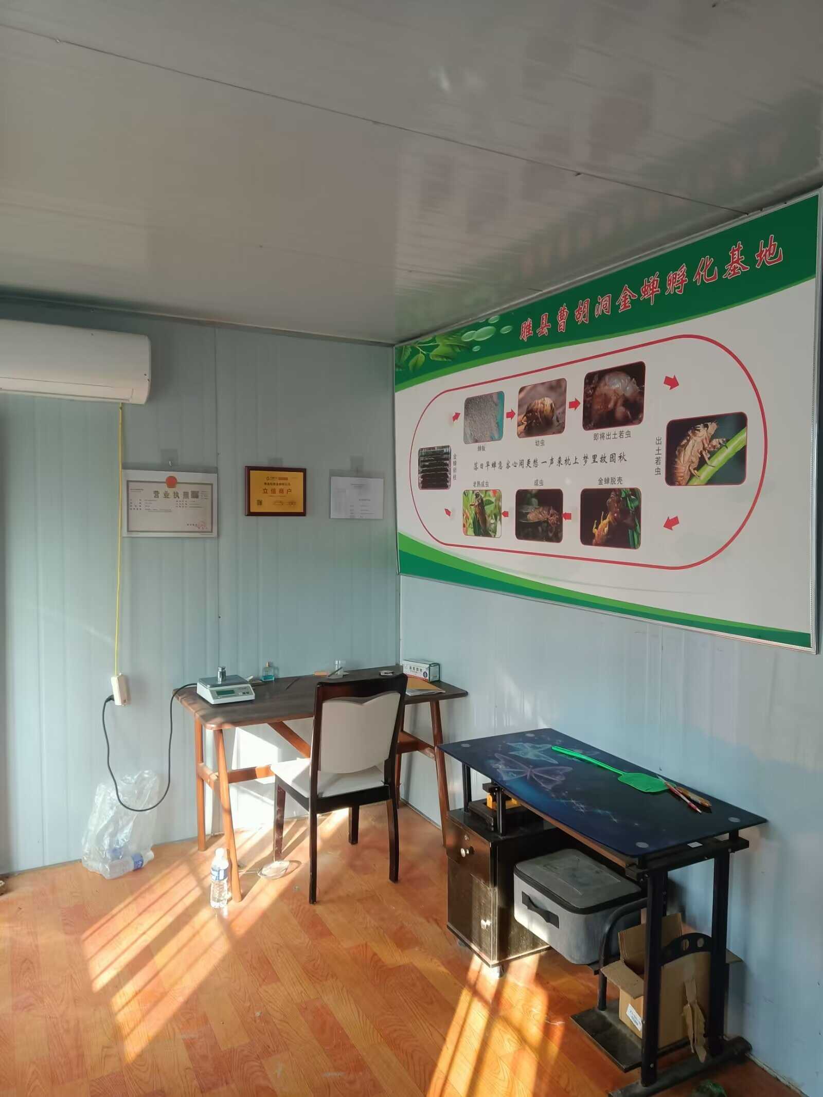 睢縣松建金蟬孵化場