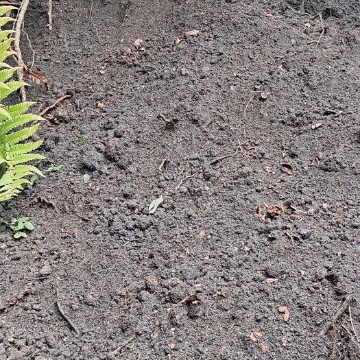 安顺种植腐植土，种植黄土，种植风化石