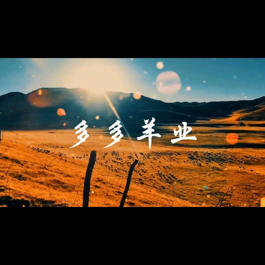 威宁县正宗本地黑山羊，