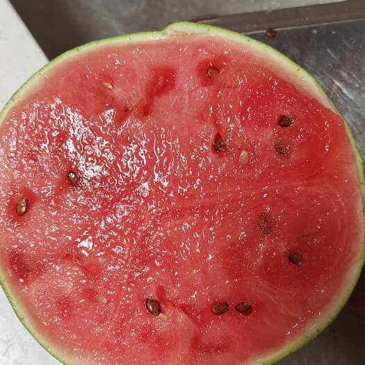 临颍县美都麒麟瓜