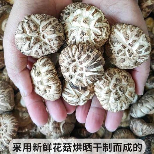 电商可代发 精品花菇干货产地直发 肉厚无根个头均匀小香菇冬菇