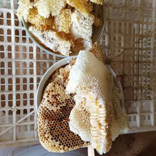 江西寻乌野生蜂蜜正当时，大山里的土蜂蜜，一手货源充足。