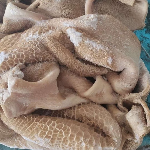 郑州牛肚（带金肚）