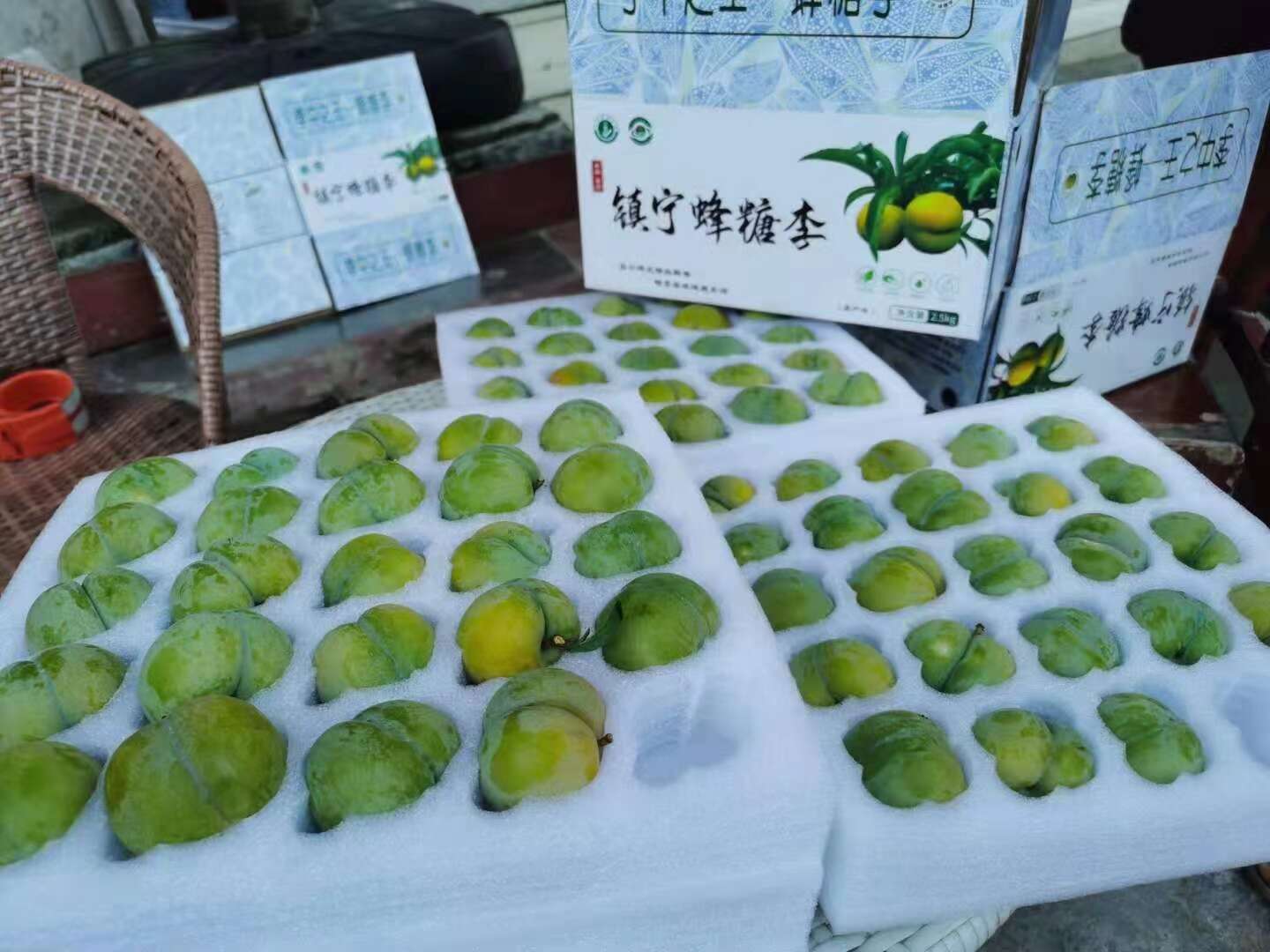 《贵州六马蜂糖李：新鲜采摘，直供全国，健康美味触手可及》​