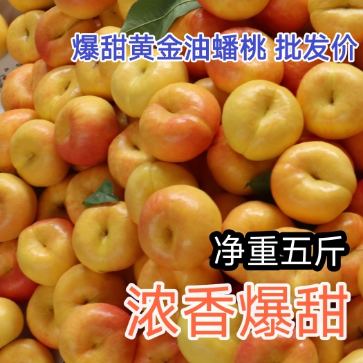 黄金油蟠桃 彩虹蟠桃黄桃油桃金霞河南灵宝市黄土高原沙土地香浓