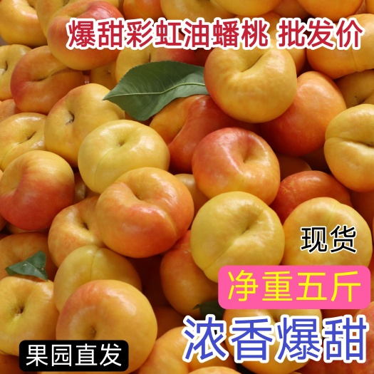 灵宝市黄金油蟠桃彩虹蟠桃早金霞黄土高原沙土地河南灵宝市浓香甜