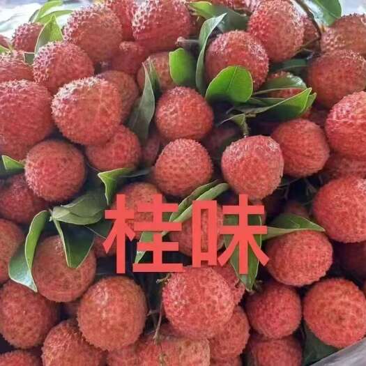 陆丰市陆丰华侨农场桂味荔枝出售