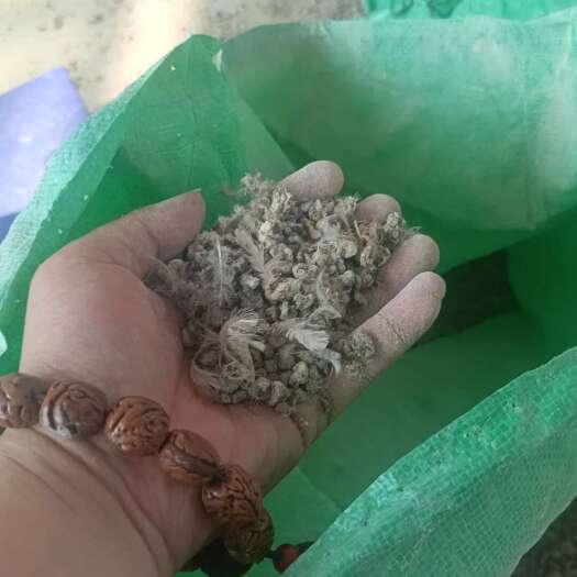 内黄县纯干鹌鹑粪，风干鹌鹑粪，假一赔十，鹌鹑养殖场直供