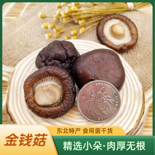 东北小香菇干货肉厚无根长白山椴木金钱菇土特产新货250g/袋