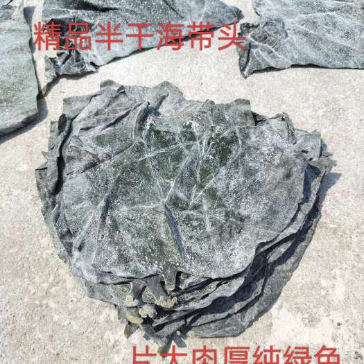 海带头 优选半干盐渍海带头 片大肉厚无黄 地摊大集展销会热卖