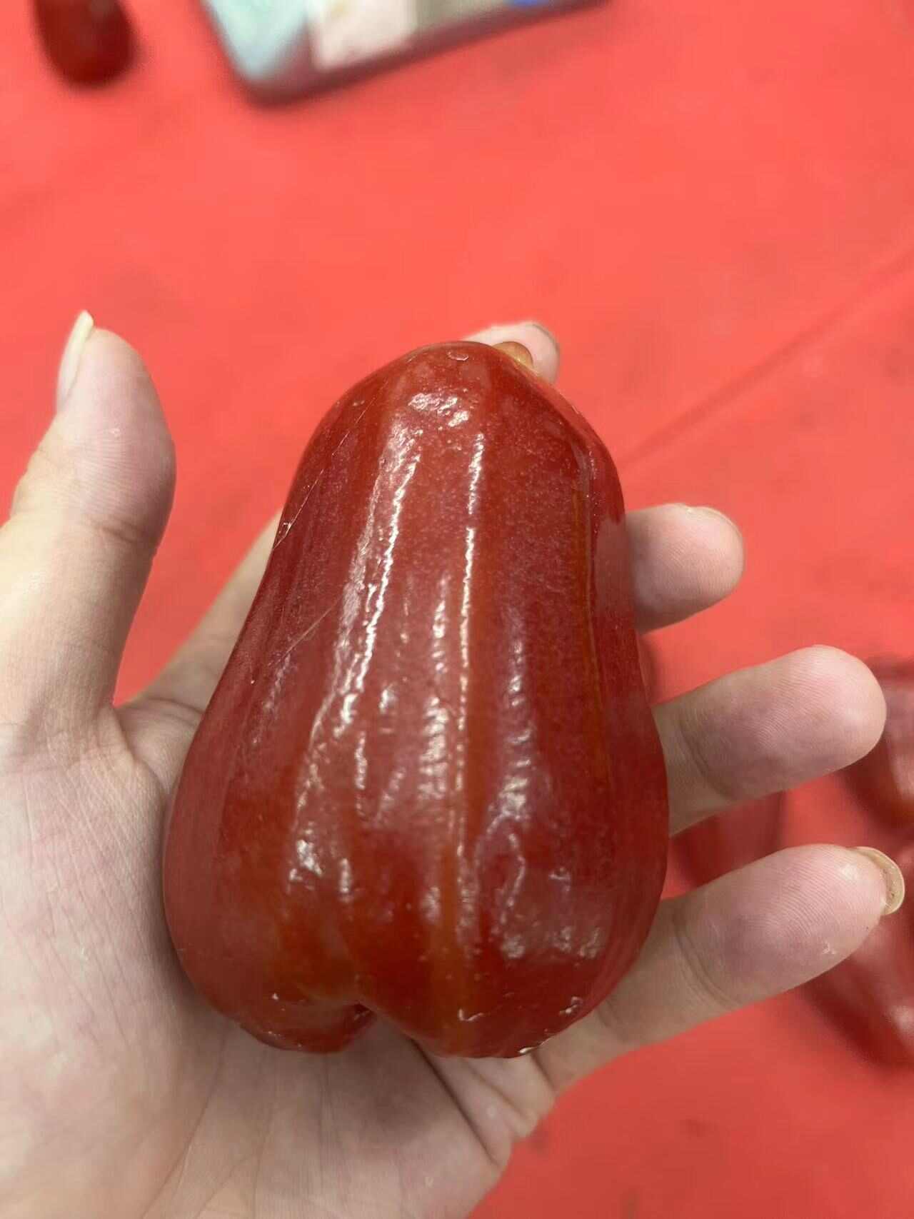 文昌市海南黑金刚莲雾，一个莲雾八杯水，生长在树上的维C