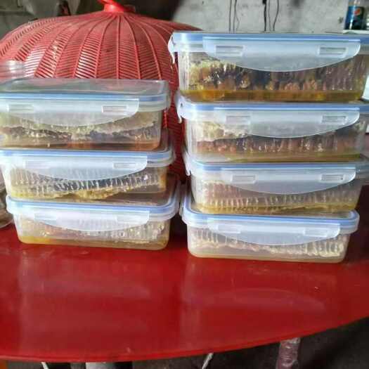 赣南寻乌，大山里的纯野生蜂蜜巢可以直接吃的蜂巢。500g一盒