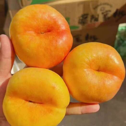 蒙阴县蒙阴黄油蟠