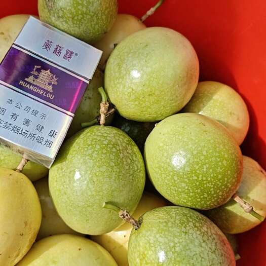 徐闻县百香果钦密9号