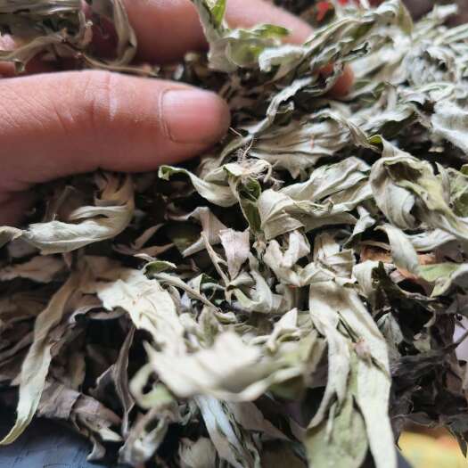 松桃县艾叶，艾草苦艾中药材叶类源头产地直供